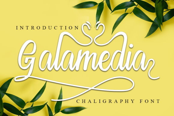 Galamedia: A Handwritten Font for Digital Elegance