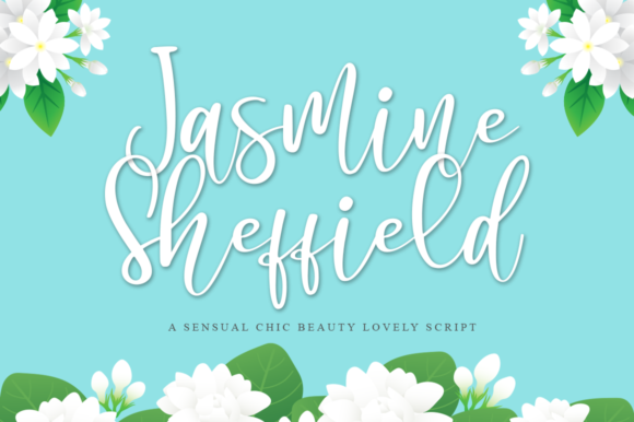 Jasmine Sheffield: A Timeless Script Font for Editorial Design